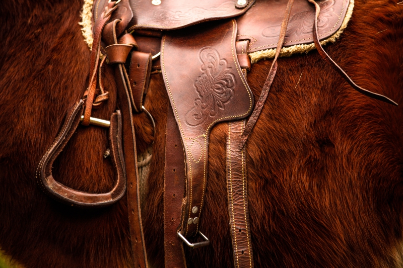 maroquinerie-CUEBRIS-min_saddle-792822